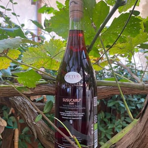 Susucaru Rosato - Azienda Agricola Frank Cornelissen - frank-cornelissen -2020