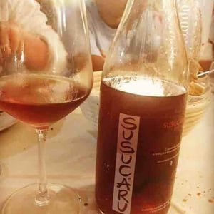 Susucaru ®