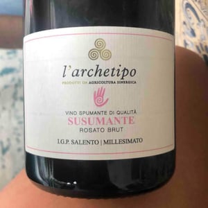 Susumante - L'Archetipo - francesco-valentino-di-benedetto -2020