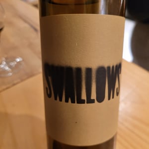 Swallows - Cyclic Beer Farm - Alberto y Joshua 