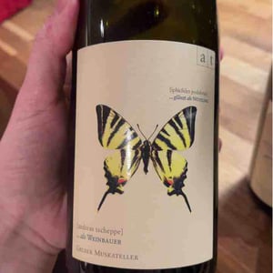 Weingut Andreas & Elisabeth Tscheppe - Andreas & Elisabeth Tscheppe - Segelfalter - Gelber Muskateller