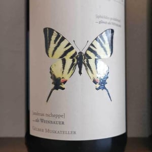 Segelfalter - Gelber Muskateller - Weingut Andreas & Elisabeth Tscheppe - Andreas & Elisabeth Tscheppe 