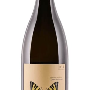 Segelfalter - Gelber Muskateller - Weingut Andreas & Elisabeth Tscheppe - andreas-elisabeth-tscheppe