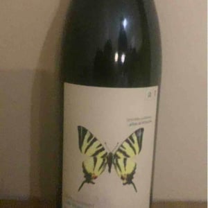 Segelfalter - Gelber Muskateller - Weingut Andreas & Elisabeth Tscheppe - andreas-elisabeth-tscheppe