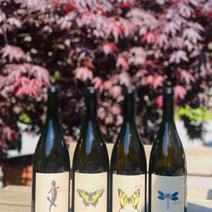 Segelfalter - Gelber Muskateller - Weingut Andreas & Elisabeth Tscheppe - andreas-elisabeth-tscheppe