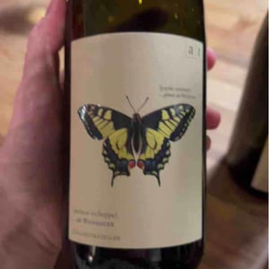 Schwalbenschwanz - Muskateller Maischevergoren - Weingut Andreas & Elisabeth Tscheppe - Andreas & Elisabeth Tscheppe 