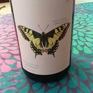Weingut Andreas & Elisabeth Tscheppe - Andreas & Elisabeth Tscheppe - Schwalbenschwanz - Muskateller Maischevergoren