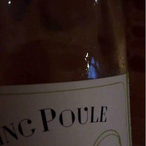 Swimming Poule - P-U-R (Production Unique Rebelle) - Florian Looze 