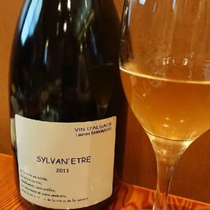 Sylvan 'Etre - Laurent Bannwarth - Stéphane Bannwarth 