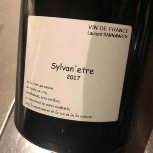 Sylvan 'Etre - Laurent Bannwarth - Stéphane Bannwarth 