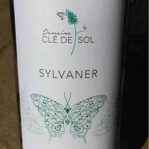 Sylvaner - Domaine Clé de Sol - Jean & Simon Baltenweck & Yannick Mignot 
