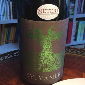 Sylvaner - Weingut Bianka und Daniel Schmitt - daniel-bianka-schmitt
