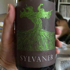 Sylvaner - Weingut Bianka und Daniel Schmitt - daniel-bianka-schmitt