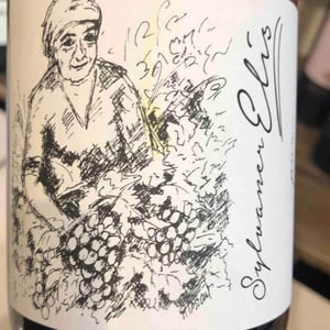 Sylvaner Elis - Brand Bros - Weingut Brand - Daniel & Jonas Brand 