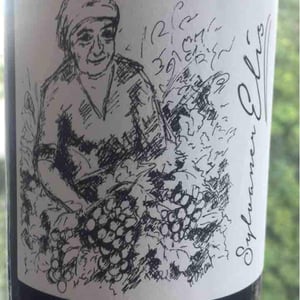 Sylvaner Elis - Brand Bros - Weingut Brand - Daniel & Jonas Brand 