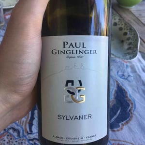 Sylvaner - Jean Ginglinger & Fils - Jean-Francois Ginglinger 