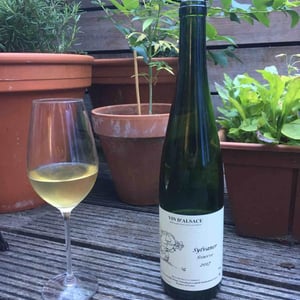 Jean Ginglinger & Fils - Jean-Francois Ginglinger - Sylvaner