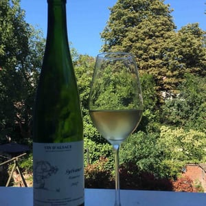 Sylvaner - Jean Ginglinger & Fils - Jean-Francois Ginglinger 