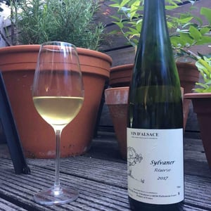Sylvaner - Jean Ginglinger & Fils - Jean-Francois Ginglinger 