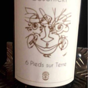 Sylvaner - Domaine Geschickt - arnaud-geschickt-aurelie-fayolle