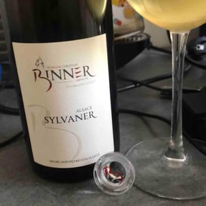 Sylvaner - Domaine Christian Binner - Christian Binner et son équipe 