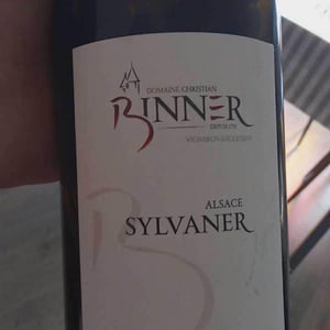 Sylvaner - Domaine Christian Binner - Christian Binner et son équipe 