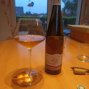 Sylvaner Macération - Domaine De L’envol - bernard-manuela-daniel-raphael-catherine-hirsinger