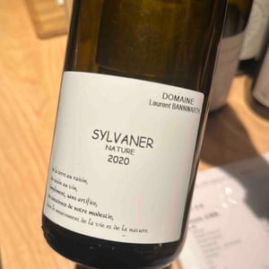 Sylvaner - Laurent Bannwarth - Stéphane Bannwarth -2020