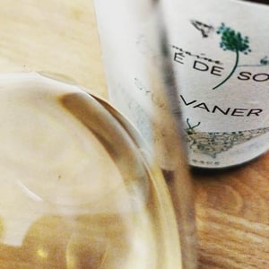 Sylvaner - Domaine Clé de Sol - jean-simon-baltenweck-yannick-mignot