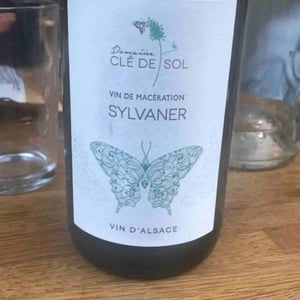 Sylvaner - Domaine Clé de Sol - jean-simon-baltenweck-yannick-mignot
