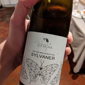 Sylvaner - Domaine Clé de Sol - Jean & Simon Baltenweck & Yannick Mignot 