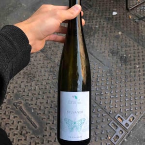 Sylvaner - Domaine Clé de Sol - Jean & Simon Baltenweck & Yannick Mignot 