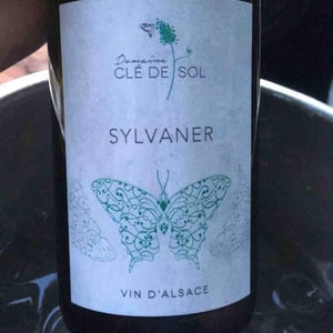 Sylvaner - Domaine Clé de Sol - Jean & Simon Baltenweck & Yannick Mignot 