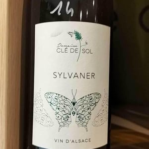 Sylvaner - Domaine Clé de Sol - jean-simon-baltenweck-yannick-mignot