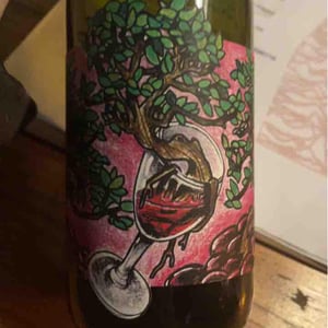 Domaine Muller-Koeberle - David Koeberle - Symbiose
