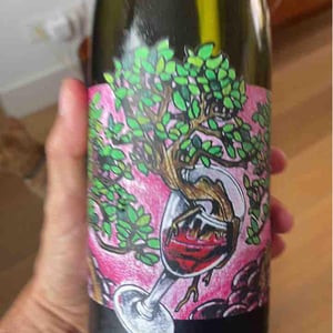 Domaine Muller-Koeberle - David Koeberle - Symbiose