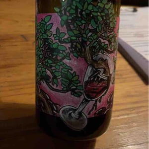 Domaine Muller-Koeberle - David Koeberle - Symbiose
