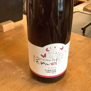 Symbiose - Domaine De L’envol - bernard-manuela-daniel-raphael-catherine-hirsinger -2019