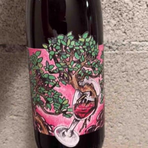 Domaine Muller-Koeberle - David Koeberle - Symbiose