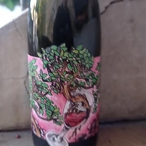 Domaine Muller-Koeberle - David Koeberle - Symbiose