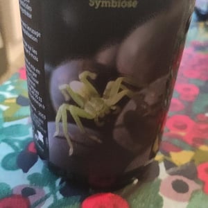 Symbiose - Domaine Terra Dieda - Francis Trioux 
