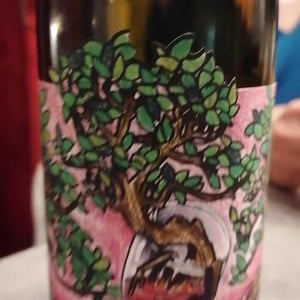 Domaine Muller-Koeberle - David Koeberle - Symbiose