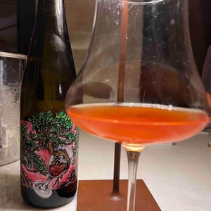 Domaine Muller-Koeberle - David Koeberle - Symbiose