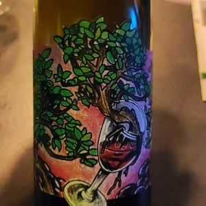 Domaine Muller-Koeberle - David Koeberle - Symbiose