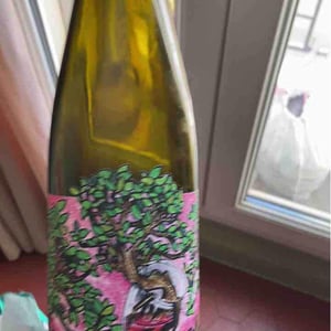 Domaine Muller-Koeberle - David Koeberle - Symbiose