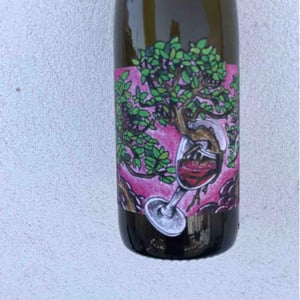 Domaine Muller-Koeberle - David Koeberle - Symbiose