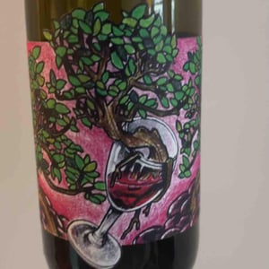 Domaine Muller-Koeberle - David Koeberle - Symbiose