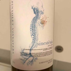 Sinestèsia - Celler Pinyolet Vinyaters - Josep Piñol 