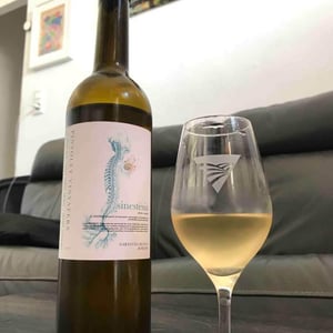 Sinestèsia - Celler Pinyolet Vinyaters - Josep Piñol 