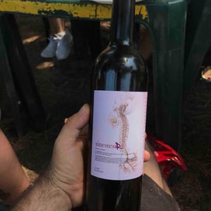 Sinestèsia - Celler Pinyolet Vinyaters - Josep Piñol 